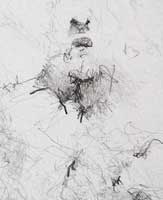 a closer look detail