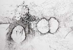 a closer look detail