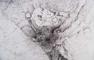 a closer look detail