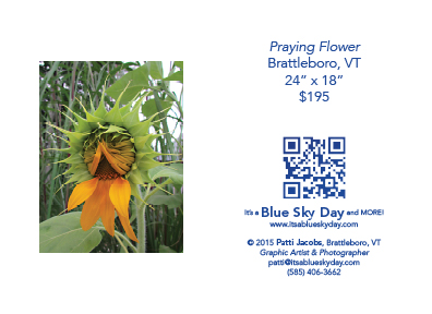 Praying Flower :: Brattleboro, VT :: 24” X 18”