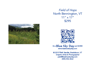 Field of Hops :: North Bennington, VT :: 11” X 17” :: $295