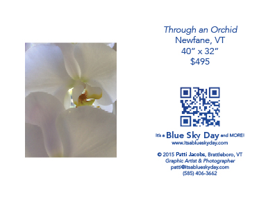 Through an Orchid :: Newfane, VT :: 40” x 32” :: $495