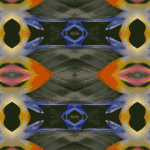 BIRD-of-paradise-promo-tag-bookmark-to-go-with-Symmagery-yogaMats2012