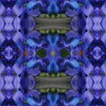 BLUEhyacynth-promo-tag-bookmark-to-go-with-Symmagery-yogaMats2012