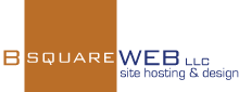 B Square Web logo...